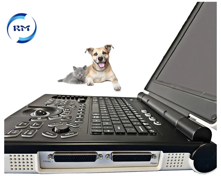 Handheld Veterinary Ultrasound Machine 12 inch Low Price Portable Animal Cow Cattle Vets Ultrasound Scanner