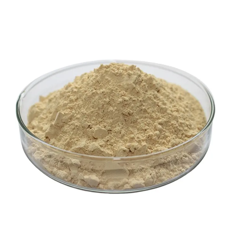 Wholesale Hesperidin Powder 95% HPLC 520-26-3 Citrus Aurantium Extract Hesperidin
