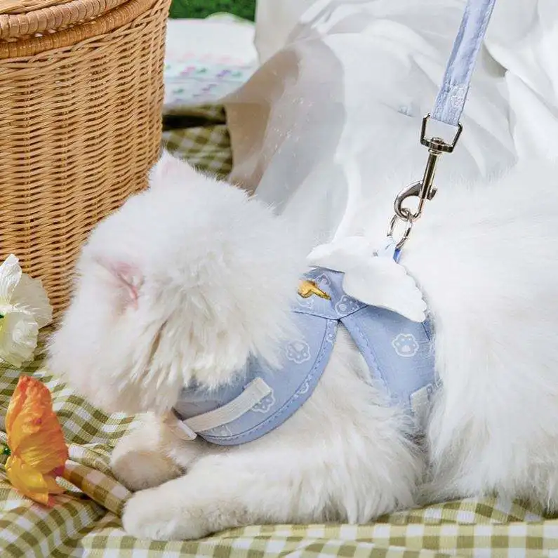 Popular Hot Selling Soft and Breathable 1.5m Angel Wing Design Pet Puppy Harness Set for Small Dog