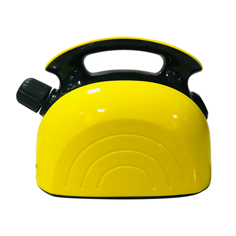  C900 Car Member steam cleaning machine with sterilization for stain removal and handheld shoulder carried portable