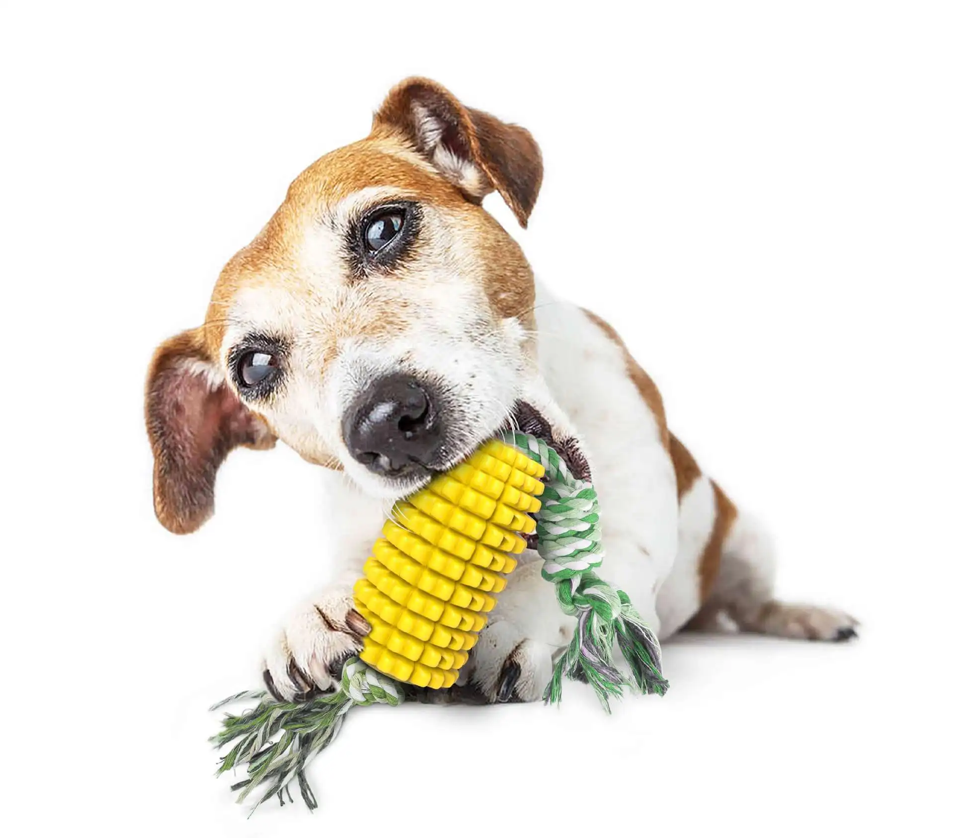 Wholesale Corn shape Dog Chew Toothbrush Teeth Cleaning Toys Puppy Brushing Stick Dental Oral Care for Pet