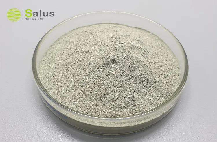 Best Price Biological Fertilizer Trichoderma Harzianum