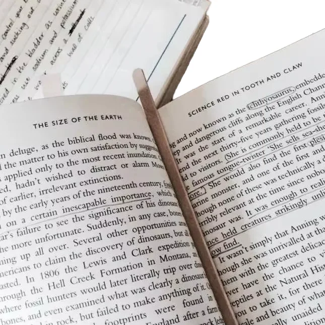 Индивидуальная печатная книга для университетского образования и украшения быстрая доставка 5-10 дней чулки