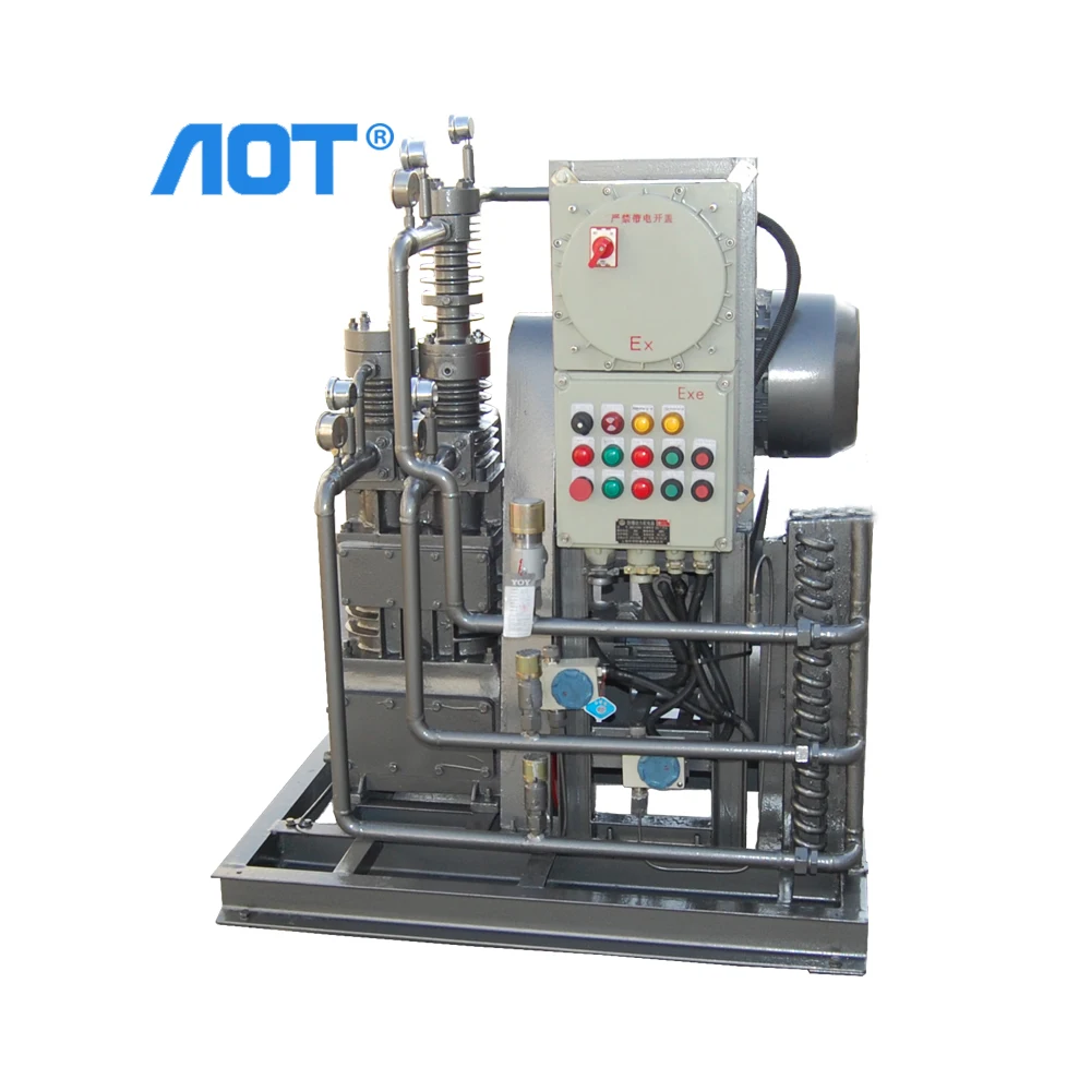 Quality Piston Air Compressor Pump Heads Natural Gas Station Dental Air Compressor