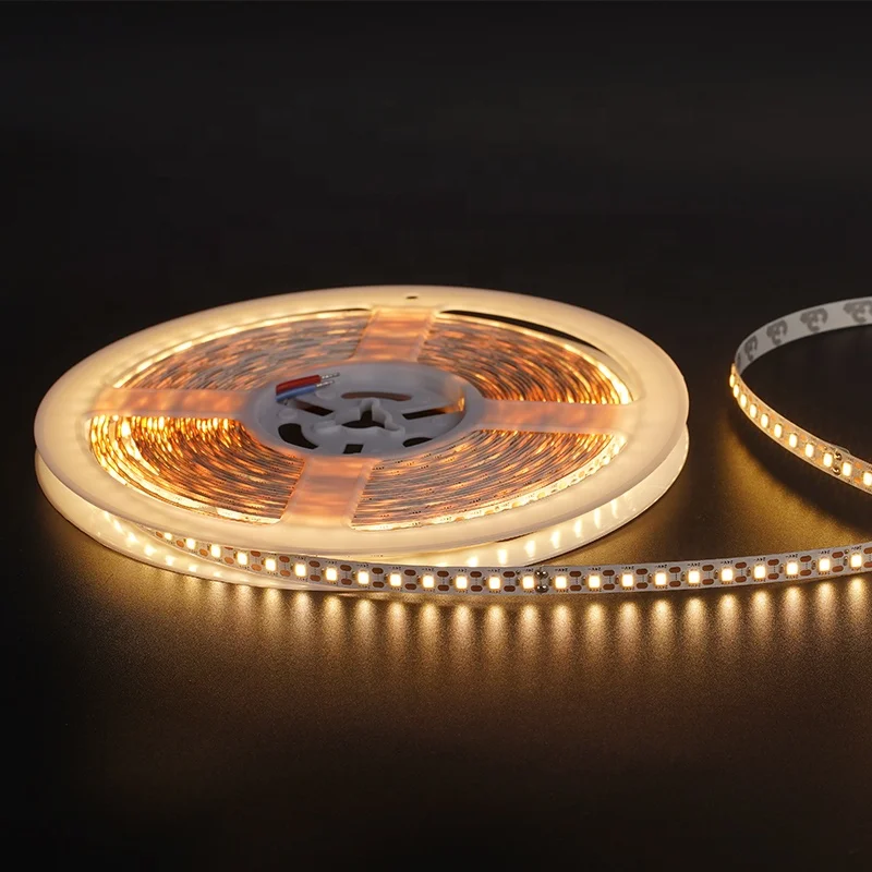 Customized 3000K 4000K 6500K IP20 IP65 IP68 Waterproof SMD 2835 Led Light Strip stripe DC 12v 10m 10W 12W