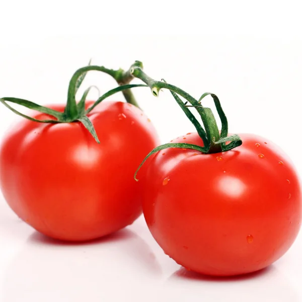 HOT  Fresh Red Tomato Packing In Boxes