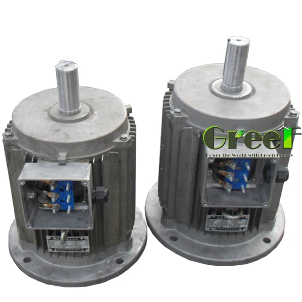 5MW 1000RPM Permanent magnet generator PMG three phase AC synchronous alternator