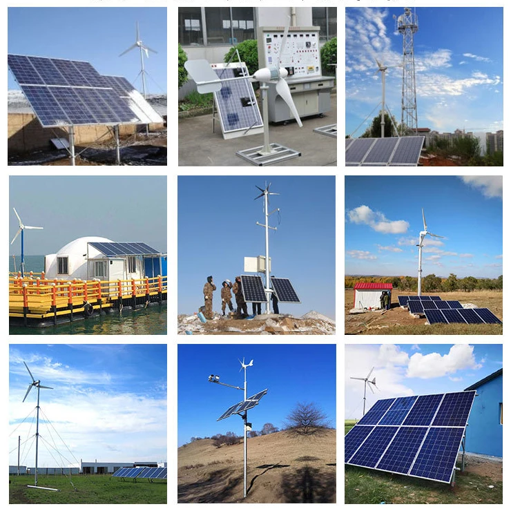300W 600W 800W Wind Turbine Controller 12v/24v/48v Wind Off-grid Controller