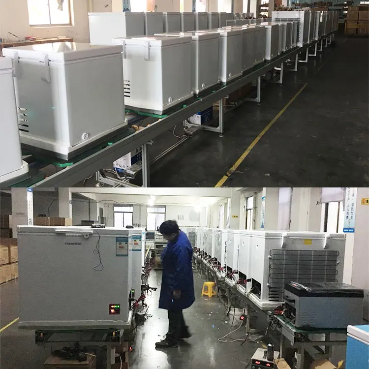 Solar Walk In Cold Room Storage Refrigeration Panel Compressor Containers Freezer For Fruit Fish Meat