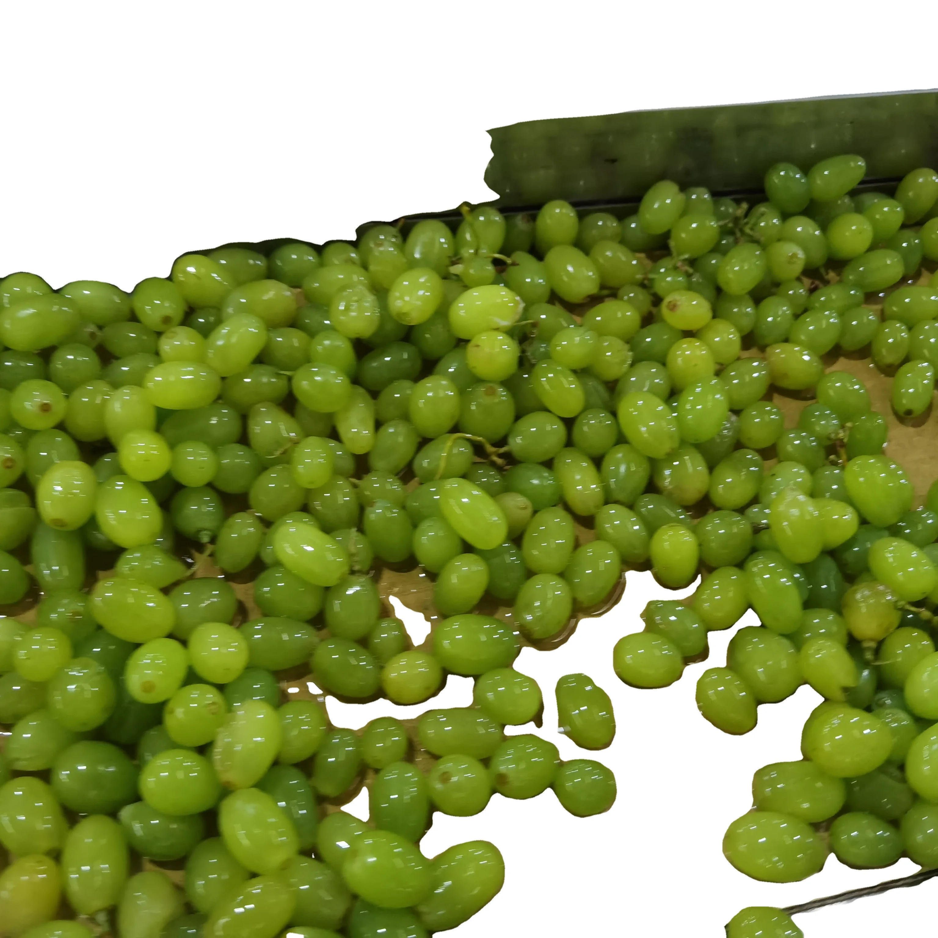 Wholesale Customization Canned Fruit Grapes In Syrup OEM Brand Tinned Packaging