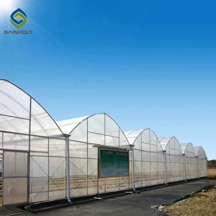 1 acre greenhouse pvc film green house for tomato growing