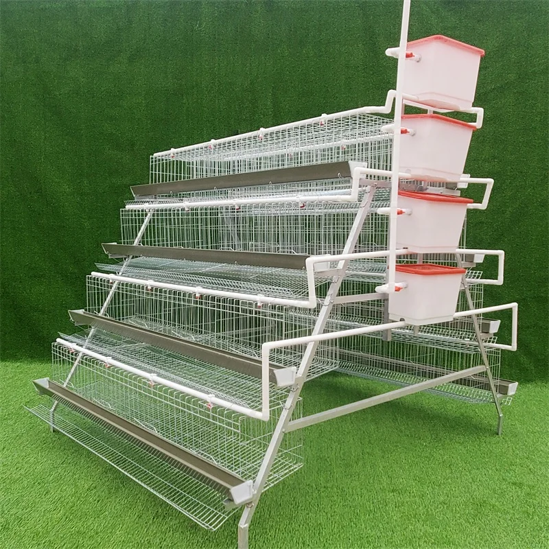 3-5 Tiers A Type Chicken Cages Egg Equipment For Mozambique Farm