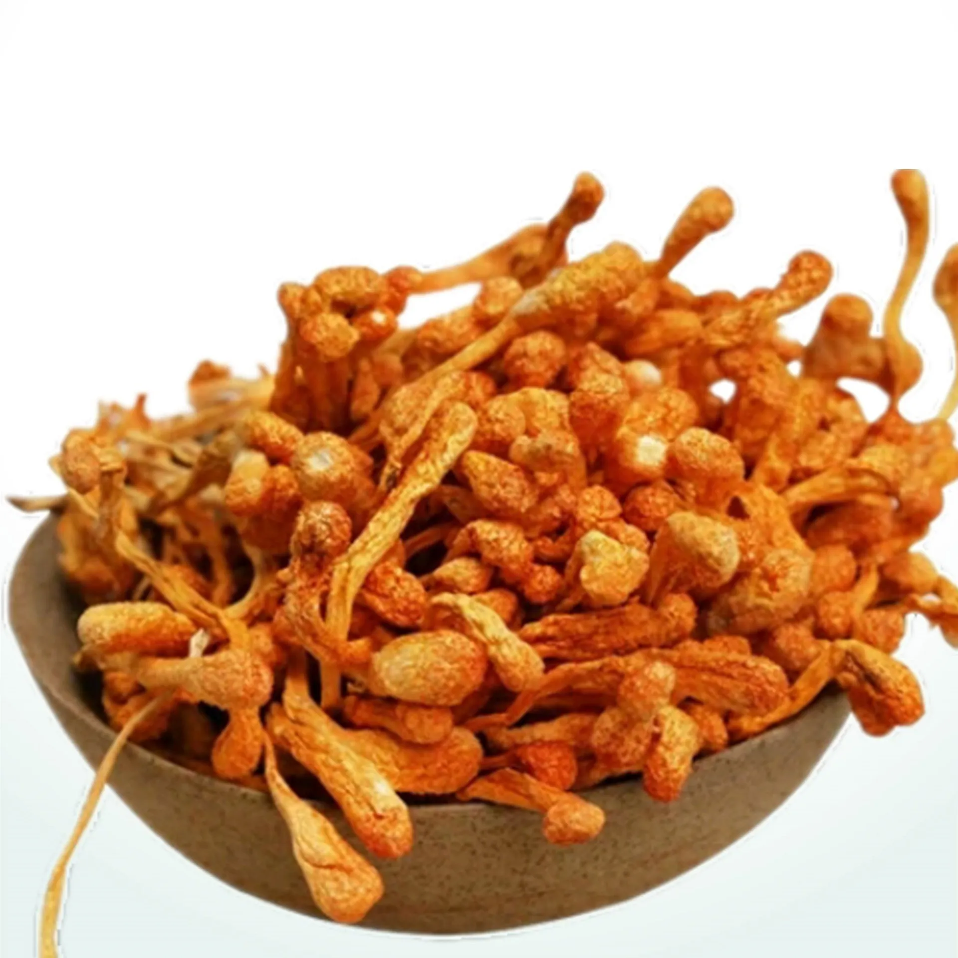 New Arrival delicious soup Raw material cordyceps flower benefits healty High Quality Fungus Low Price Dried Cordyceps