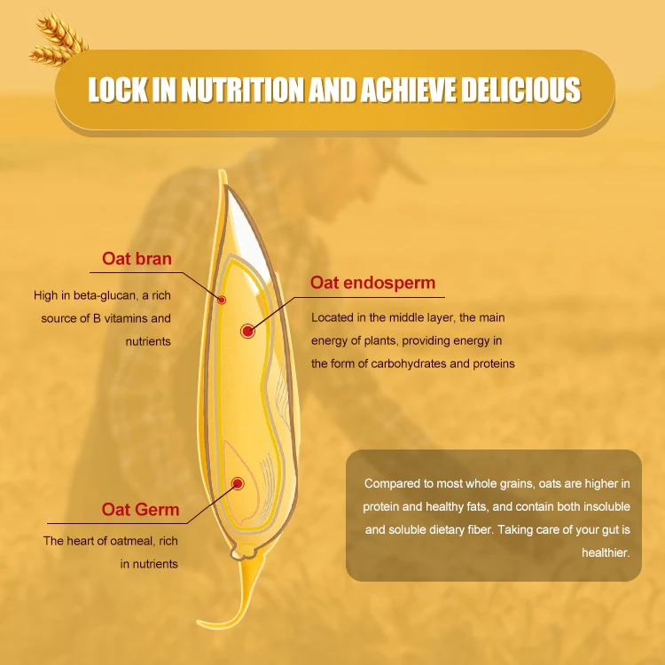 Заводская поставка LISHI добавление плотности костей для детей подростков 250 мл 72 шт. в коробке овсянка питьевое