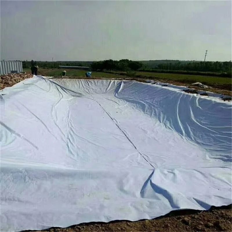 Вертикальные стены одинарные или двойные с детектором утечки Hdpe геомембрана геомембранные пленочные