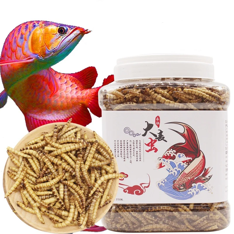 
Wholesale Super Worms Mealworms Dried for Aquarium Fish Food 