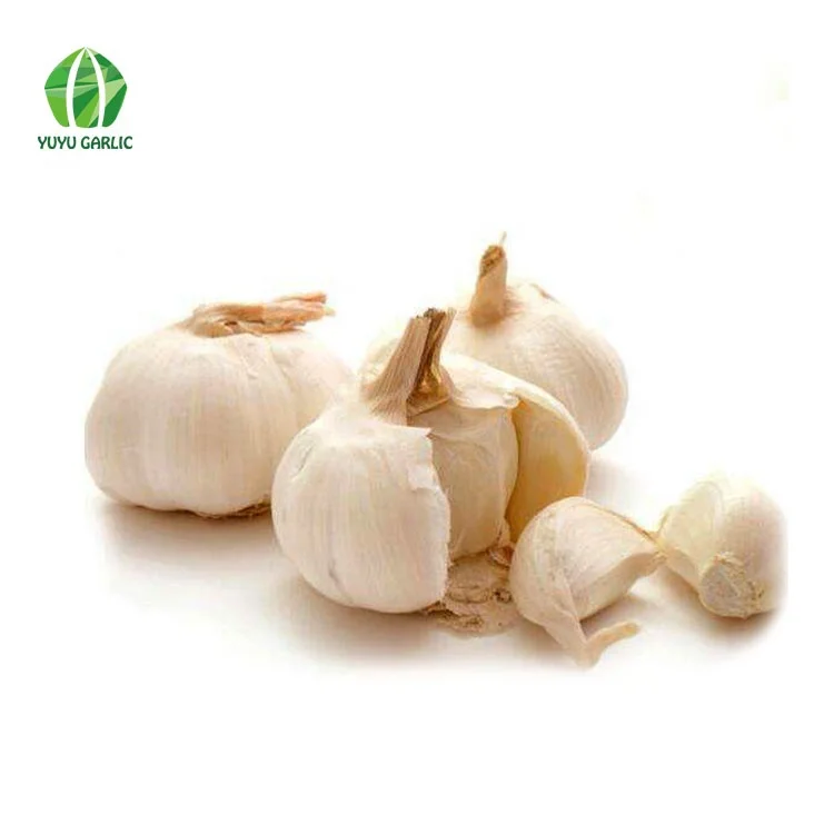 
Wholesale Chinese Natural Bulk Fresh White Garlic Price 