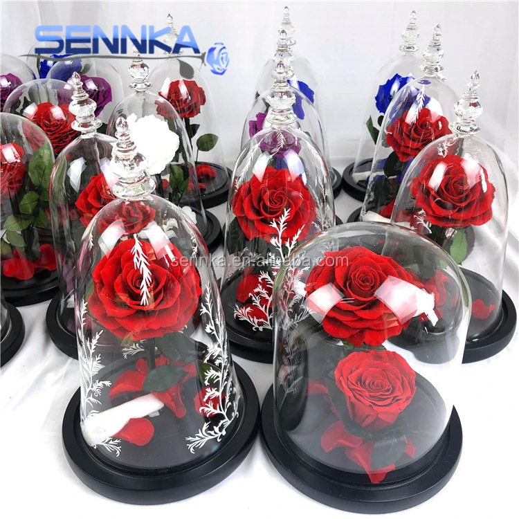 Wholesale Beauty and the Beast Design Flowers Real Natural Single Preserved Rose in Glass Dome for Wedding Decoration