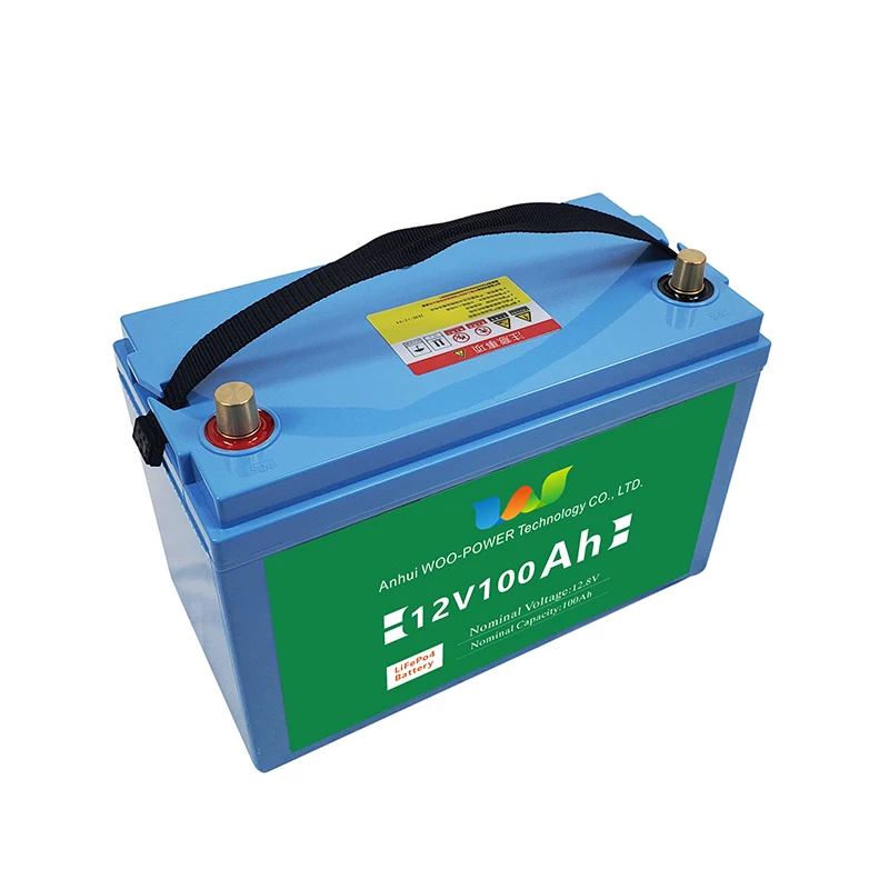 Professional Menufactuer 12V 100Ah Lithium Iron Phosphate Batteries for Solar Battery