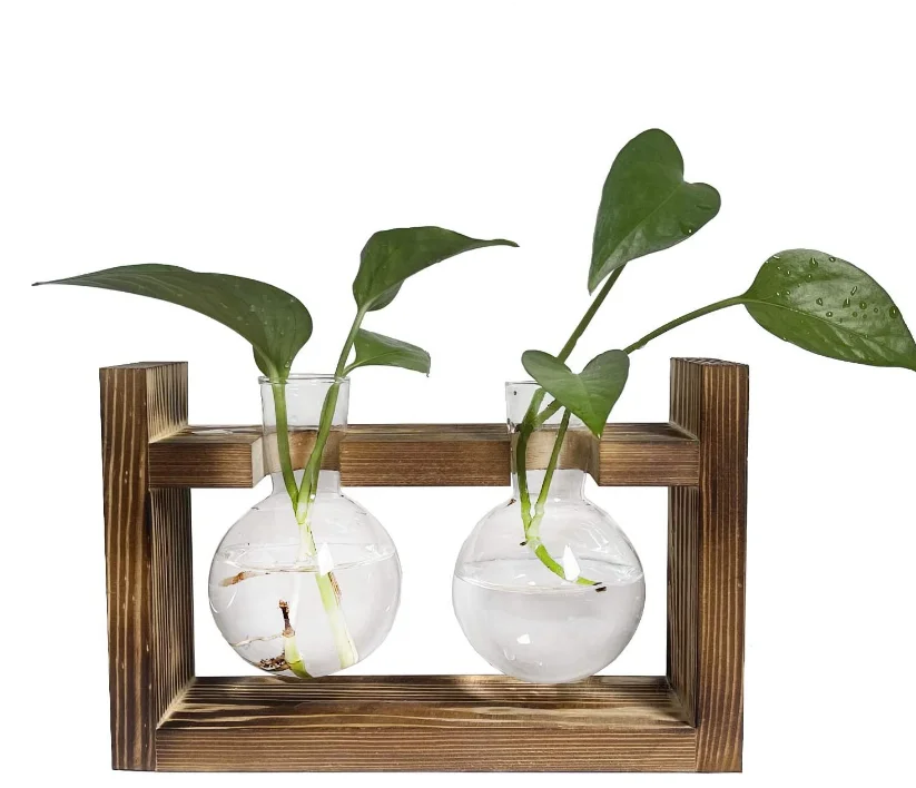 Best selling brown wood stand 2 bulb vase clear glass vase  for hydroponic home garden decoration