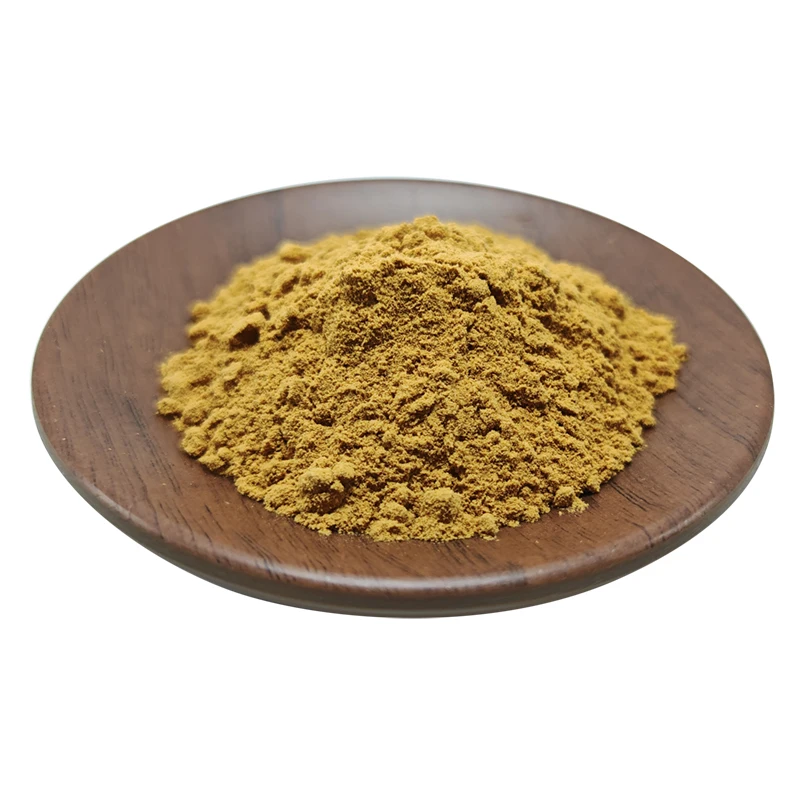 Plant extract phellinus linteus extract sang huang mushroom extract Phellinus linteum powder