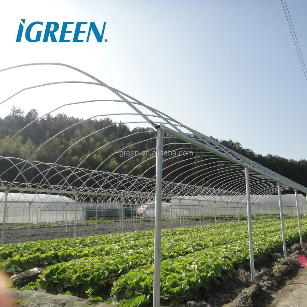 Film Agricultural Insulated Winter Tent Greenhouse Very Cheap Multi Span Plastic Large Fan Large Green House Covers Single Layer