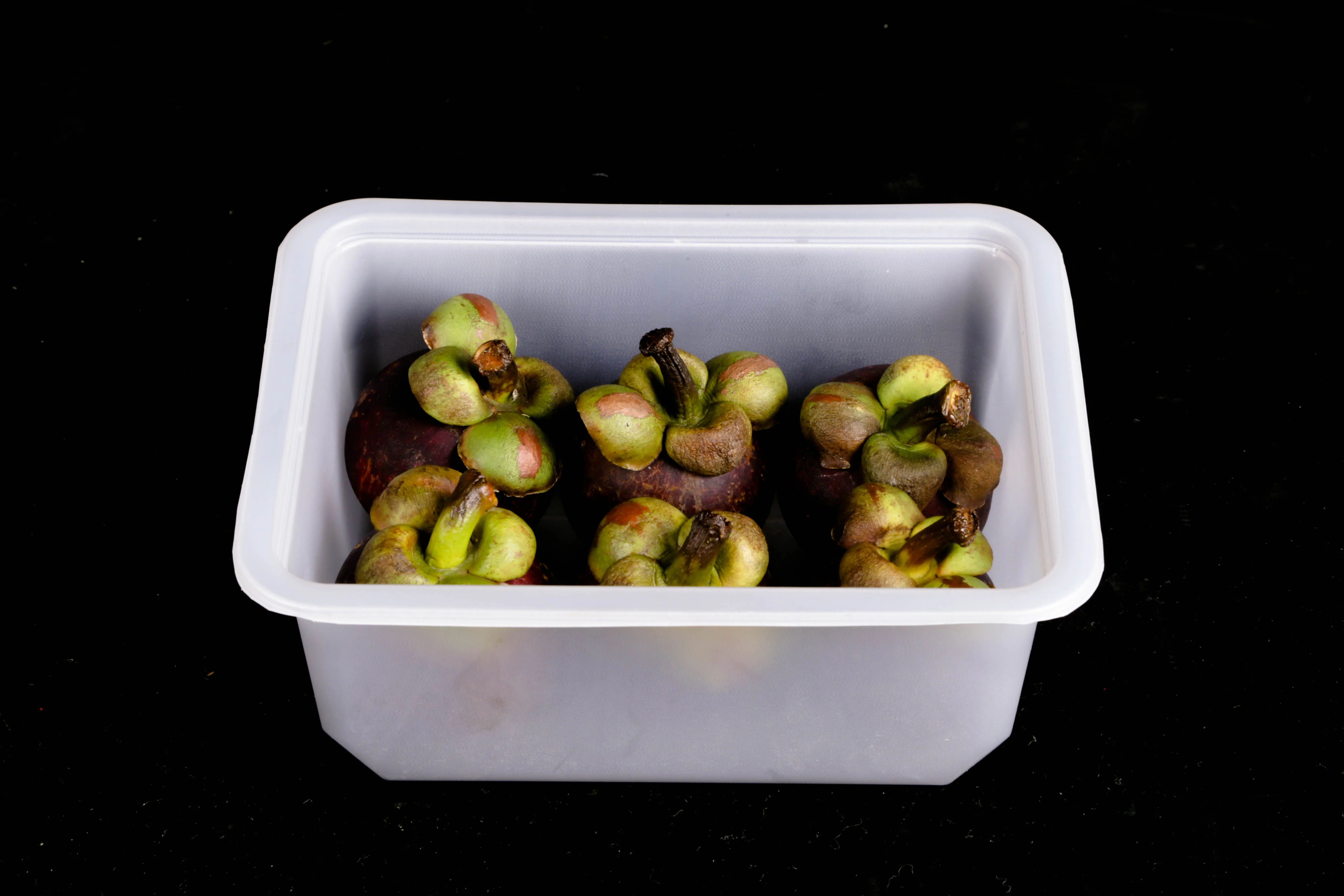 Custom Disposable Frozen Food Tray Plastic PET Fruit Vegetable Container Packaging Boxes For Shop