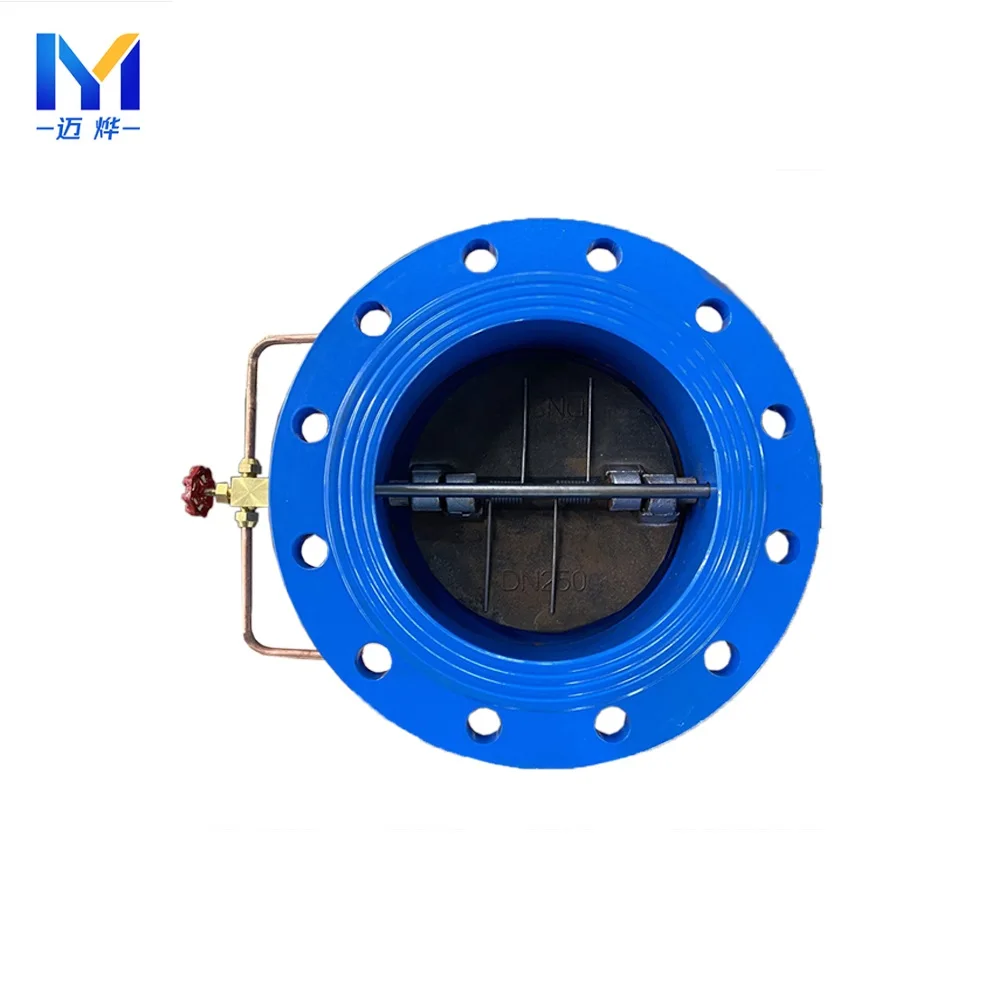 Hh49x Dn50-dn400 Provide Nice Check Valve Flush Float Water Valve Micro-resistance Slow-closing Butterfly 1 Piece Hydraulic