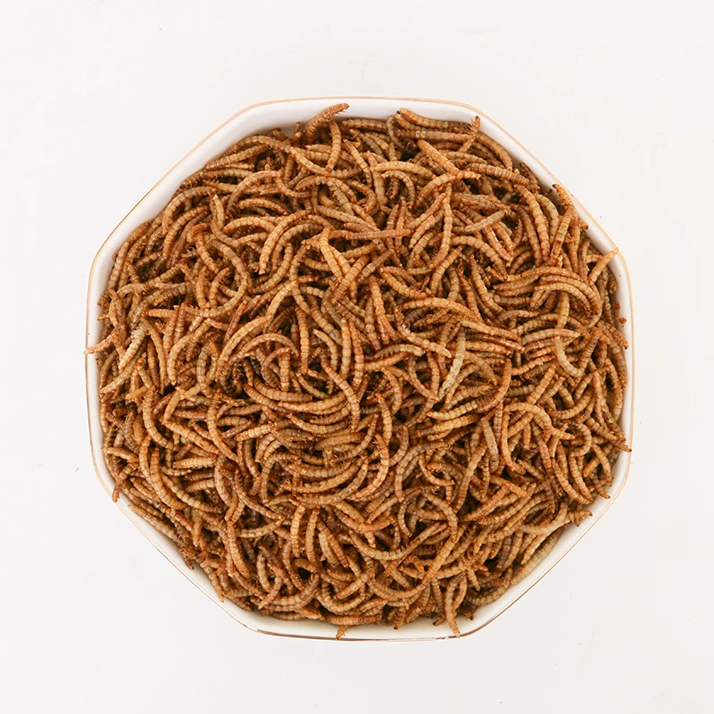 Factory direct high protein bird fish cat frozen pet food dried mealworm