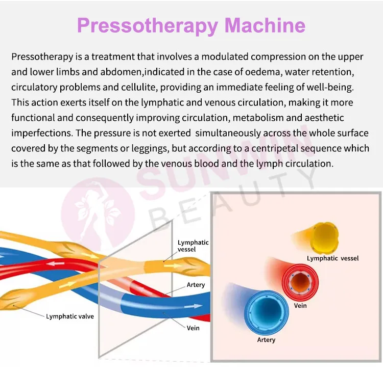 Home Use Pressotherapy Lymphatic Drainage Massager Presoterapia Sauna Relax Muscle Therapy Machine