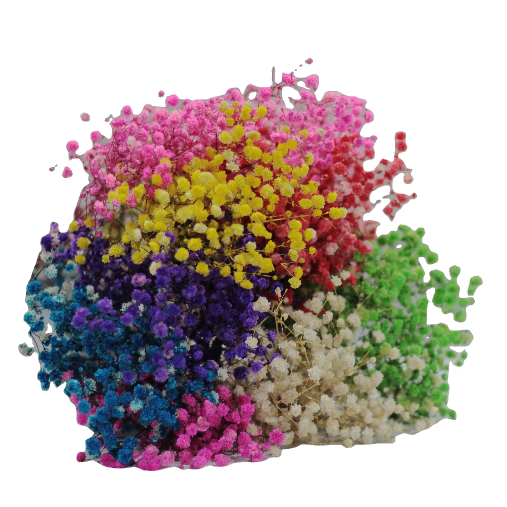 Hot Selling Natural Preserved Babys breath Gypsophila Preserved Dried Gypsophila Flowers