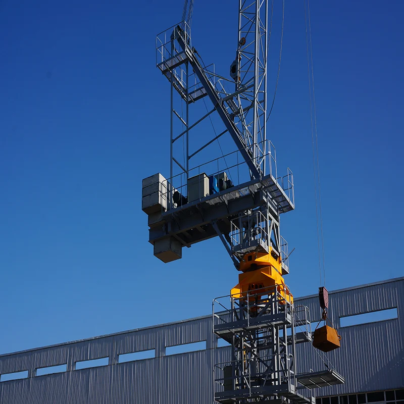 Sell well in South Korea Luffing Tower Cranes   SF-180 price