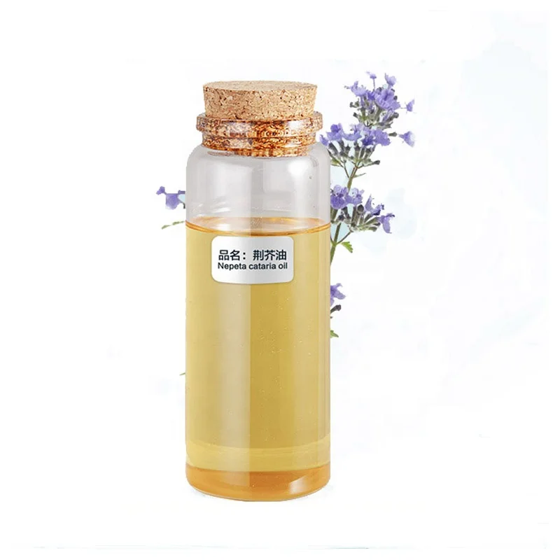 factory bulk natural plant extracted  catnip oil cat mint oil nepeta cataria hoja oil for weight loss