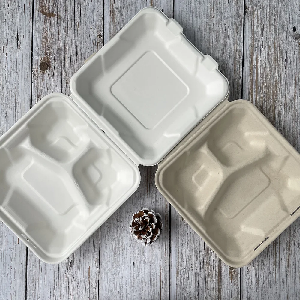3 Compartment Clamshell 8 inch 9 inch Lunch Box Biodegradable Sugarcane Bagasse Tableware Lunchbox Food Containers