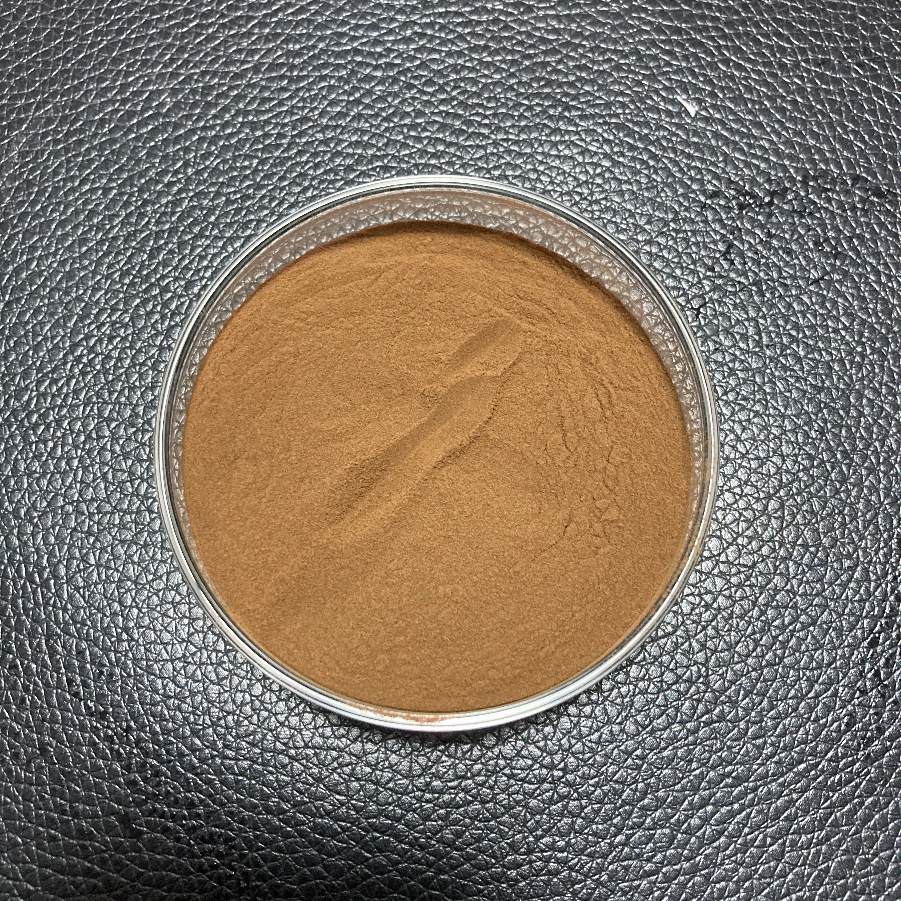 Saien Factory Supply Bulk Price Dark Plum Fruit P.E. 10:1 Dark Plum Extract