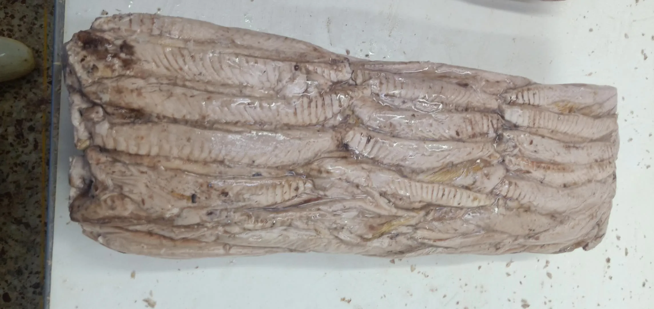 Frozen  Precooked  Skipjack  Bonito Tuna 90% Loin + 10% Flakes for Canned Tuna Seafood hot sale factory delivery