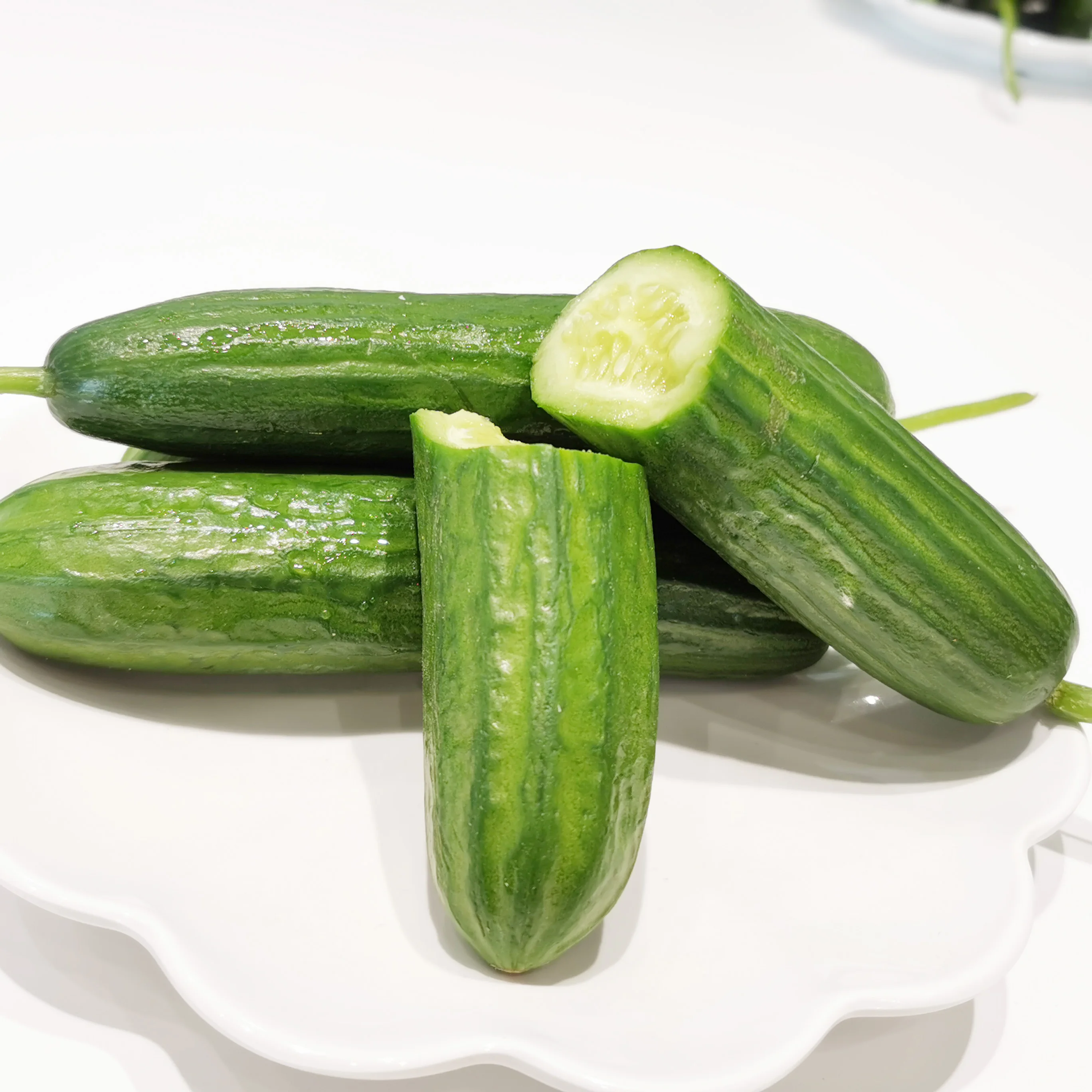 
China organic farms Growing fresh organic cucumbers 