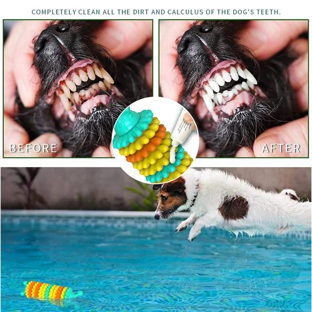 2024 Yiwu New Arrivals Colorful Gear Swivel Teeth Health Bite Dogs Toys Ring Perro Juguete Pets Products