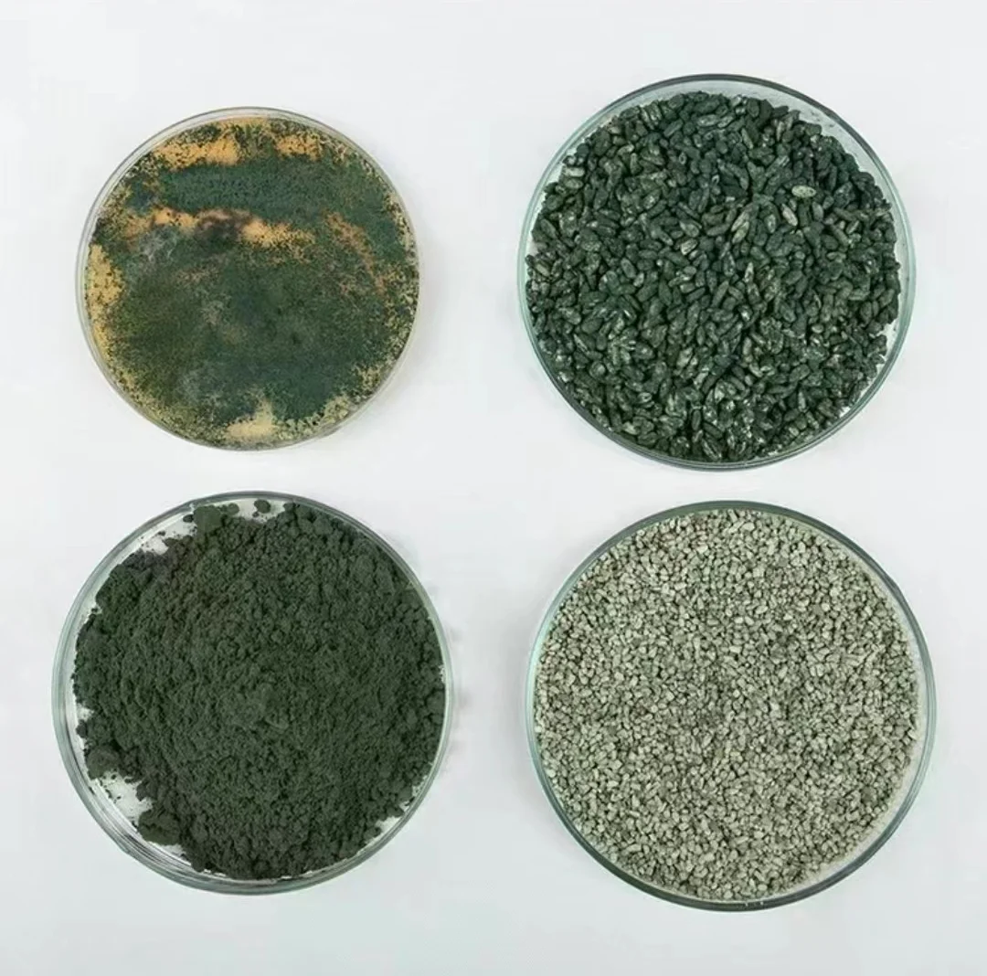 Trichoderma asperellum cepa t34 10 млрд КОЕ/г в качестве
