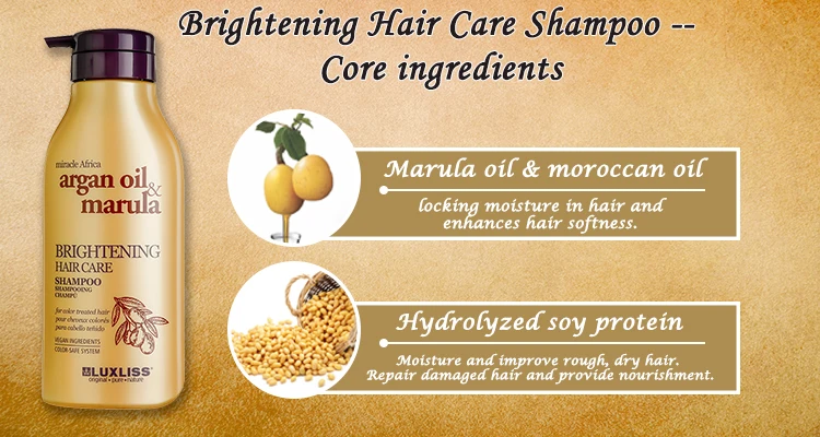Newly design hair care treatment shampoo brightening hair care shampoo marual oil infused Private label