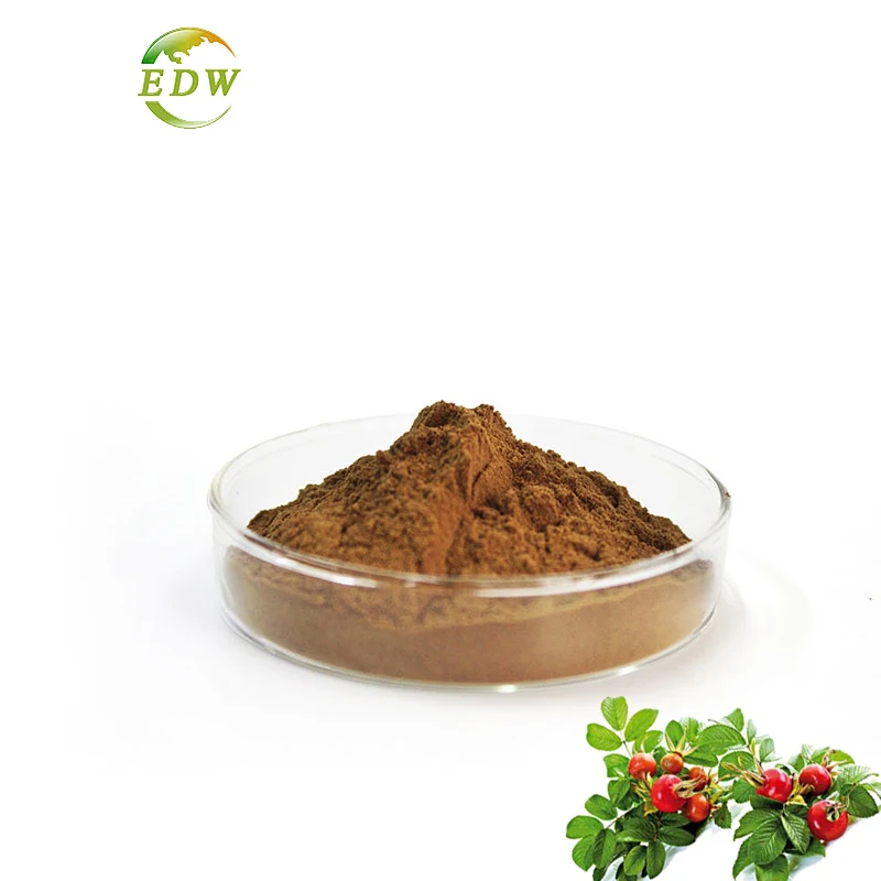 Low Price 15% Polyphenol 20% Flavone 5%VC Rose Hip Extract Powder Food Addictive