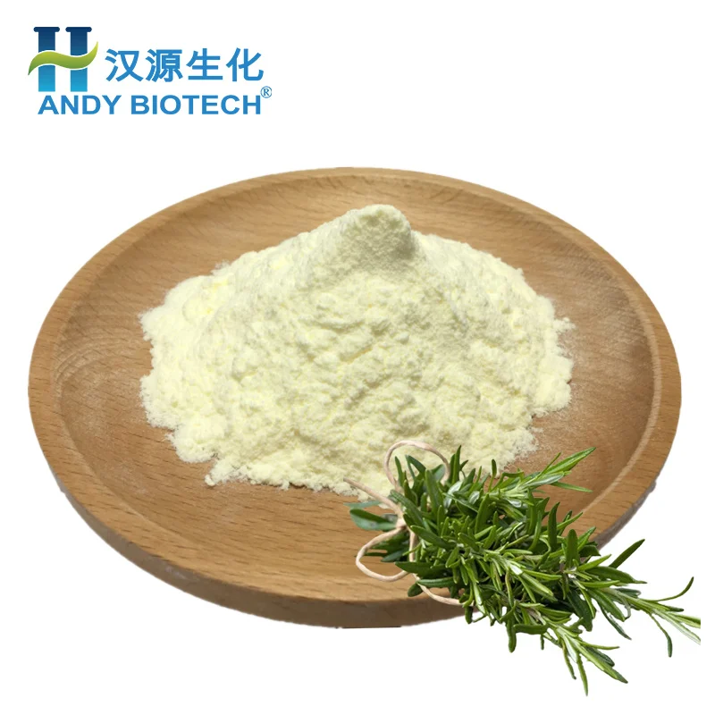 High Quality Rosemary Extract Rosemary Leaf Extract  25% Ursolic Acid Powder