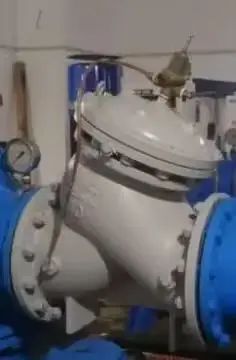 DY30AX-16C Check valve