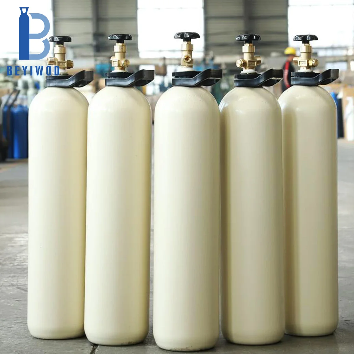 Factory OEM BEYIWOD brand wholesale CE Approval 200Bar seamless steel CO2 Bottle Argon Gas Cylinder O2 cylinder