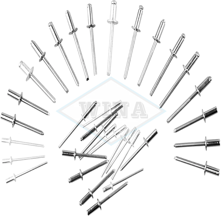 
Blind Rivet Aluminium Rivets Blind Rivet Manufacture Blind Rivet Manufacturer Supply Colored 