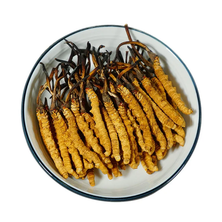 Кордицепс военный органический Заказной Оптом Tiens Cordyceps
