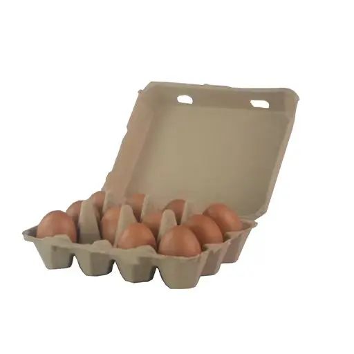 Dozen Egg Paper Pulp Boxes 12 Compartment Cartons Eco-friendly and Reusable Egg Trays With Intact Lids Free Range Egg Container