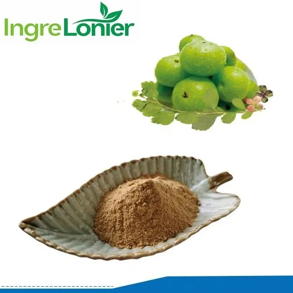 High Quality Amla Fruit Powder Alma Juice Fructus Phyllanthi Extract