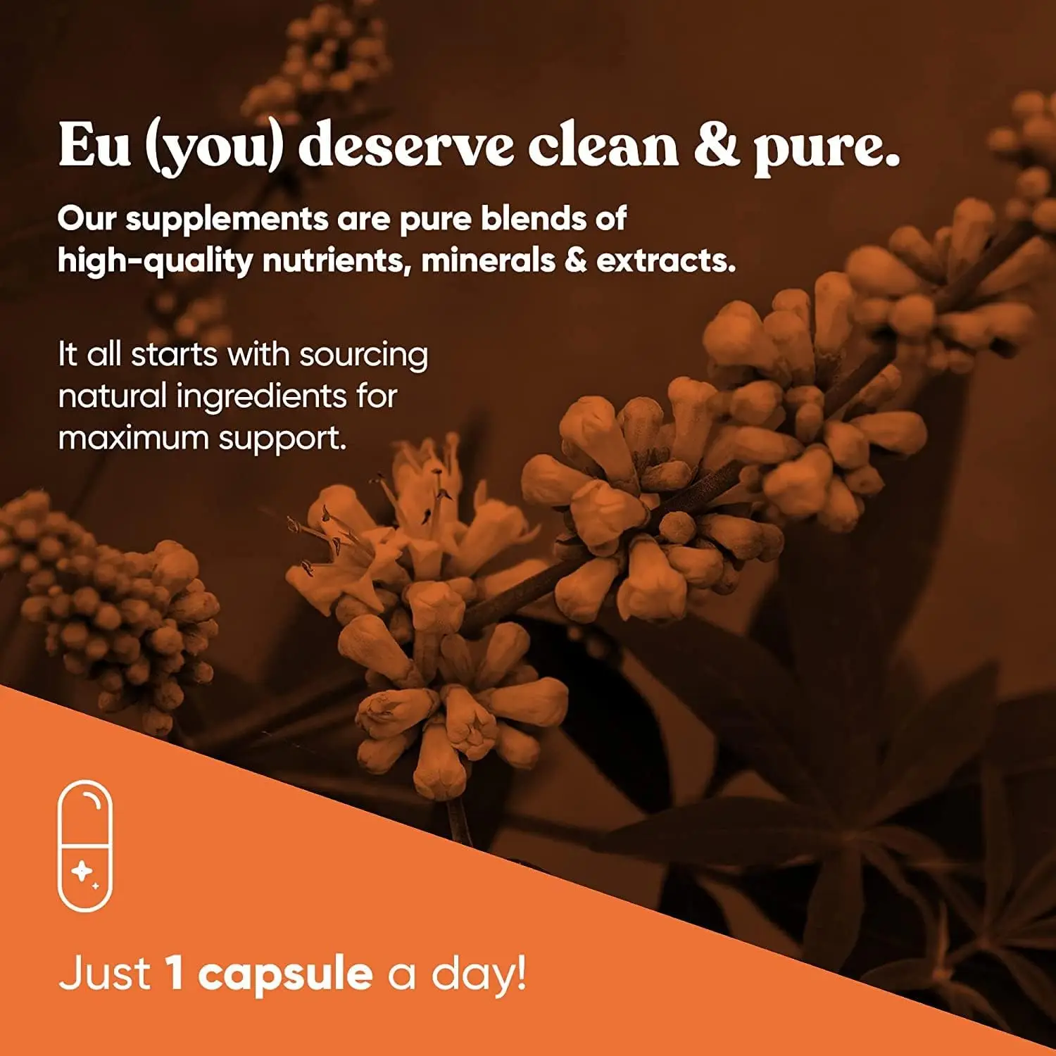 Vitex Pure Chasteberry Capsules Adults Natural PMS Support Hormone Balance Cycle Regulation Skin Health Promotion Supplements