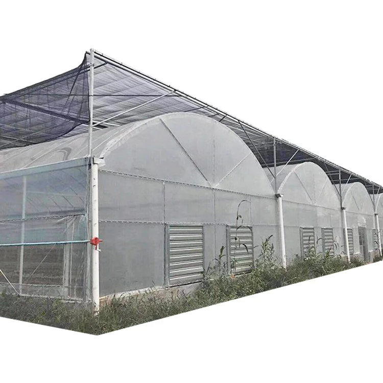 high quality hydroponics box farming system/agriculture equipment greenhouse/Tomato hydroponic greenhouse